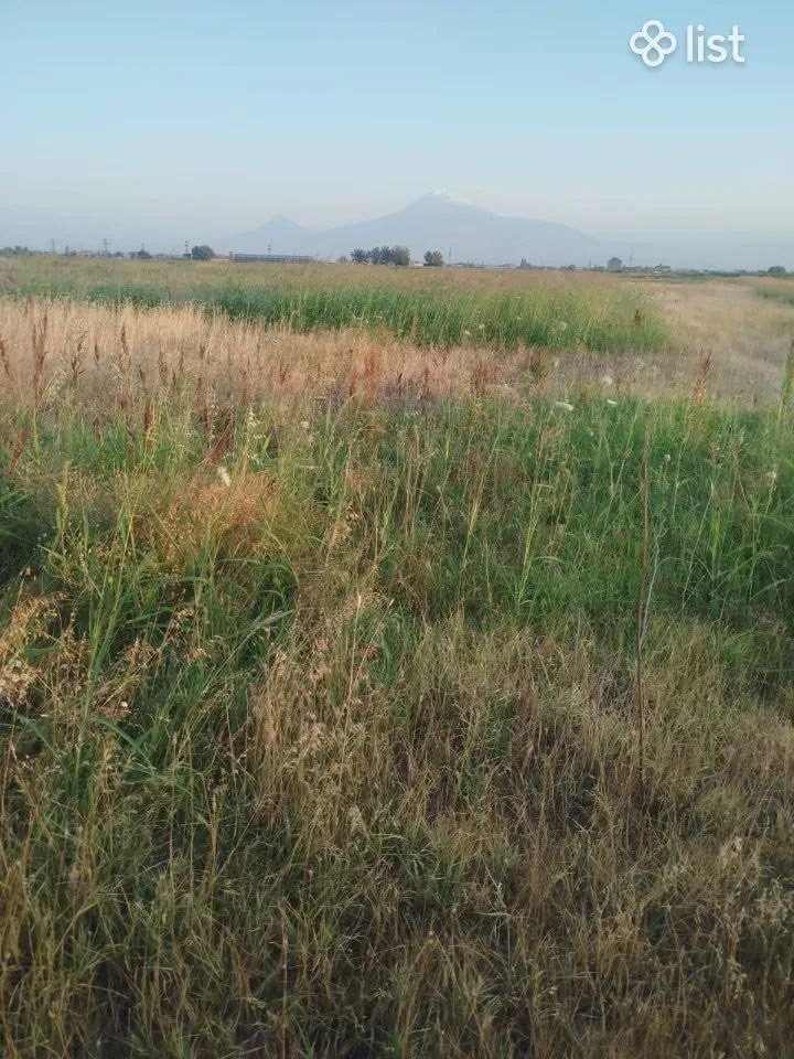 vacharvum  e  HOXATARCQ   ARBATUM   MAK  750 Q.