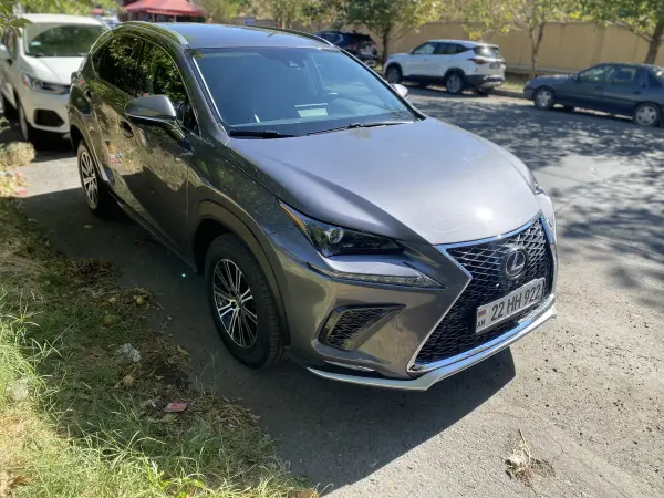 Lexus NX, 2.0 լ, 2019 թ.