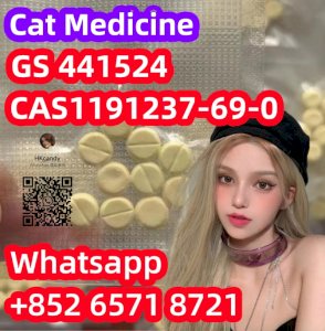 Pet Medicine1191237-69-0 GS 441524