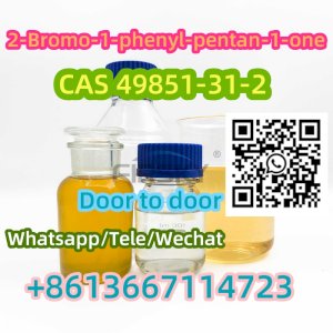  China factory supply 2-Bromo-1-phenyl-pentan-1-one cas 49851-31-2  +8613667114723