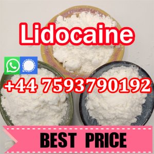 99% Purity Lidocaine Powder for Pain Killer CAS 137-58-6 by Oris