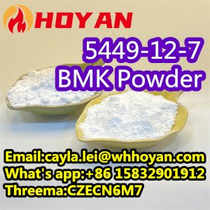 Favorable Price Pure BMK Powder 5449-12-7 CAS 20320-59-6 BMK Oil at Best Quality WA:+86 15832901912