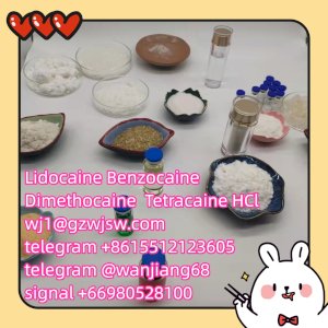 Medetomidine CAS 79099-07-3  Bromazolam telegram/signal +8615512123605 