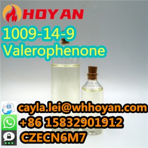 Good Effection Aromatic ketone Valerophenone liquid CAS:1009-14-9 in Stock WA:+86 15832901912