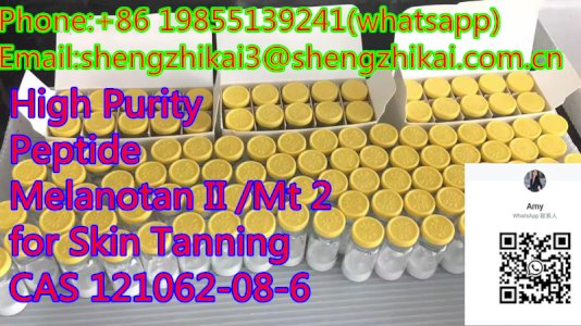 High Quality Peptide for Skin Tanning CAS 121062-08-6