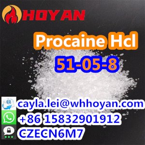 Top Grade Local anesthetic CAS:51-05-8 Pure Procaine Hcl Powder WA:+86 15832901912