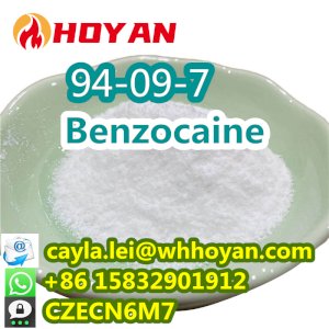 Local Anaesthetic  Benzocaine Powder CAS 94-09-7 with Safe Delivery WA:+86 15832901912