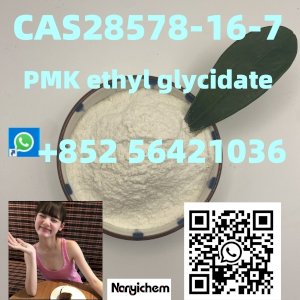 CAS : 28578-16-7   PMK ethyl glycidate  