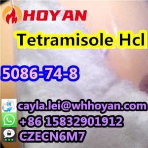Top Grade Tetramisole hcl Powder CAS 5086-74-8 Anthelmintic What's up:+86 15832901912