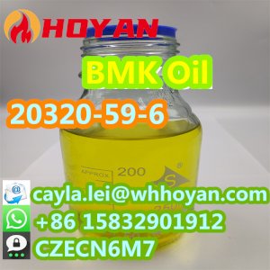 Bulk Price BMK Powder 5449-12-7 CAS 20320-59-6 Pure BMK Oil at Best Quality WA:+86 15832901912