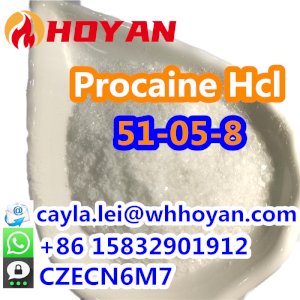 2024 Factory Price Local anesthetic Procaine Hcl CAS:51-05-8 with Safe Delivery WA:0086 15832901912 