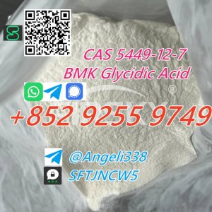 CAS 5449-12-7 BMK Glycidic Acid (sodium salt) tele@Angeli338 99% purity