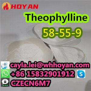2024 Top Quality Theophylline Powder CAS:58-55-9 In Stock What's App:0086 15832901912