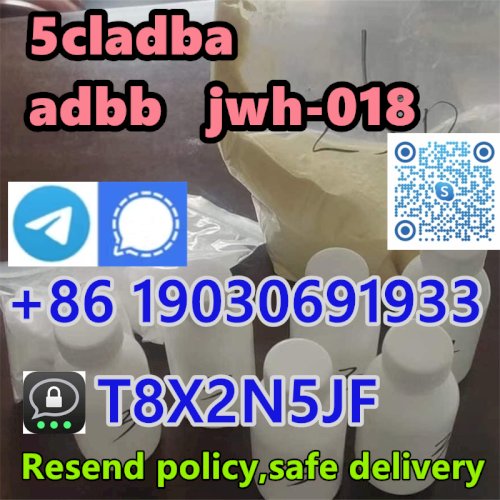 Buy 5cladba Online Best Price Yellow Powder 5cladba 5cl ADBB