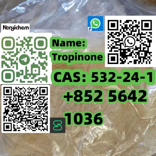 CAS: 532-24-1 Name: Tropinone