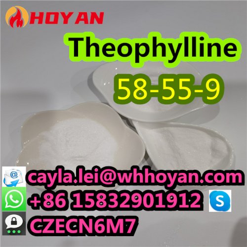 2024 Top Quality Theophylline Powder CAS:58-55-9 In Stock What's App:0086 15832901912