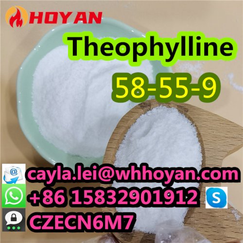 Supply Best Quality Theophylline Powder CAS:58-55-9 in Stock Whatsapp:+86 15832901912